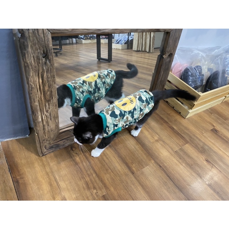 Áo Drew Camo cho chó mèo