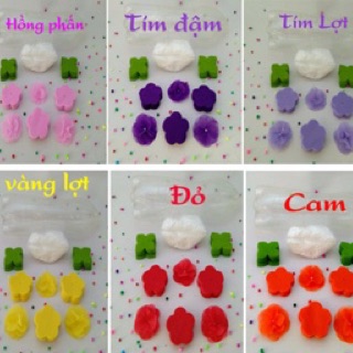 Hoa giay lua bộ lớn