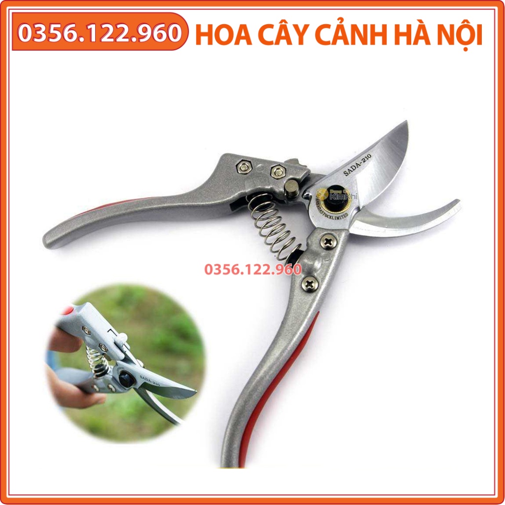 Kéo cắt cành, kìm cắt cành SADA lưỡi thép sắc, bền, trợ lực tốt - Shop hoa cây cảnh Hà Nội