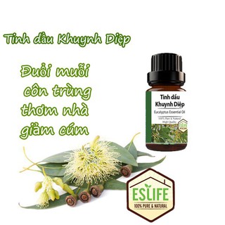 Tinh dầu khuynh điệp 10ml | 100% tinh dầu thiên nhiên, thơm phòng | Nhập khẩu Ấn Độ