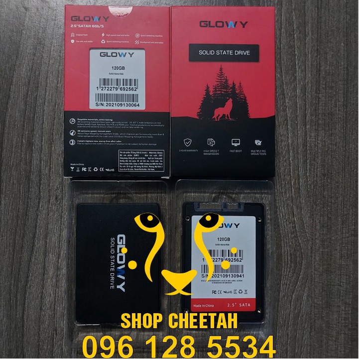 Ổ cứng SSD Gloway (SATA III) các model M2 / mSATA / 2.5” – CHÍNH HÃNG – Bảo hành 3 năm