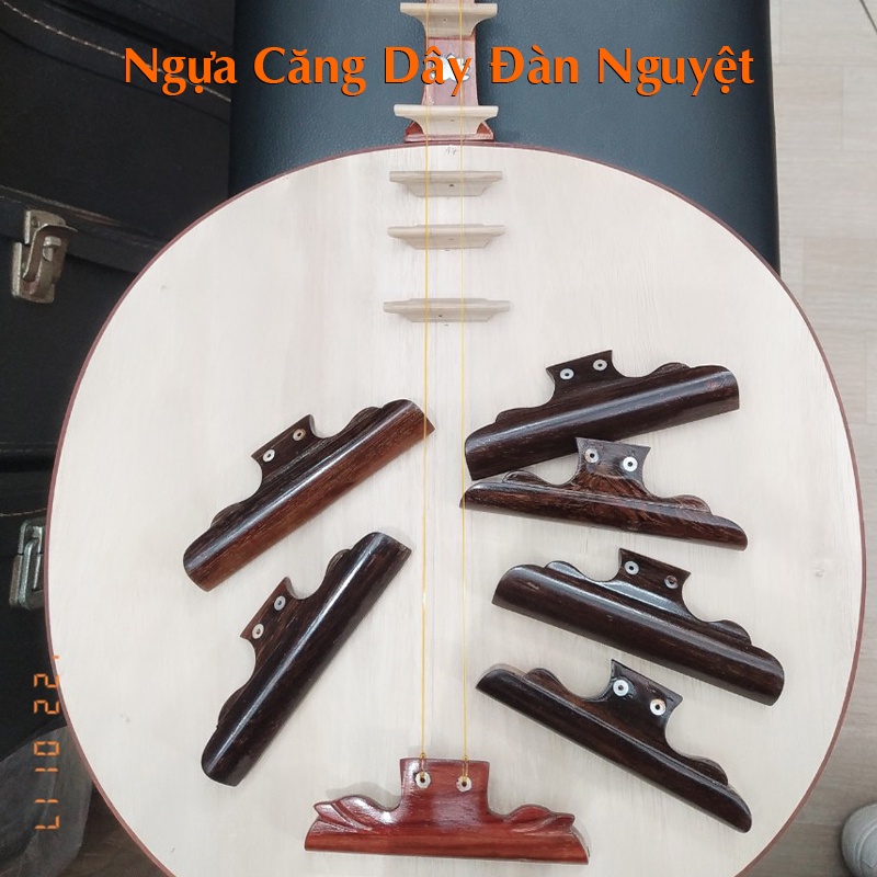 Ngựa Đàn Nguyệt - Ngựa Căng Dây Đàn Nguyệt