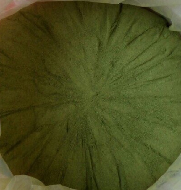 Bột lá găng loại 1 (500g) / Bột thạch găng/ Bột thạch xanh [SALE] tặng vôi bột