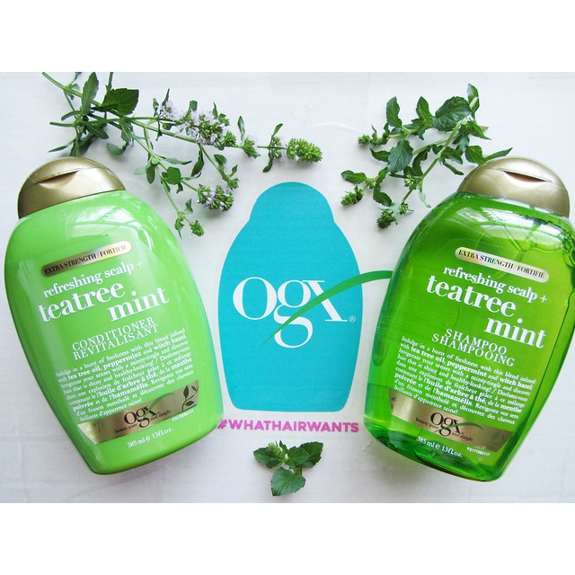 Cặp gội xả OGX Extra Strength Refreshing Scalp + Tea Tree Mint 385ml - Mỹ