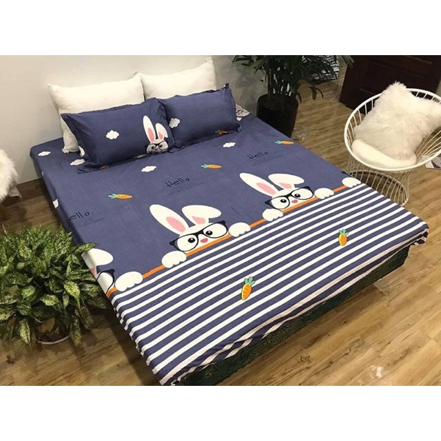 Bộ drap 3 món ga chun +2 vỏ gối đầu