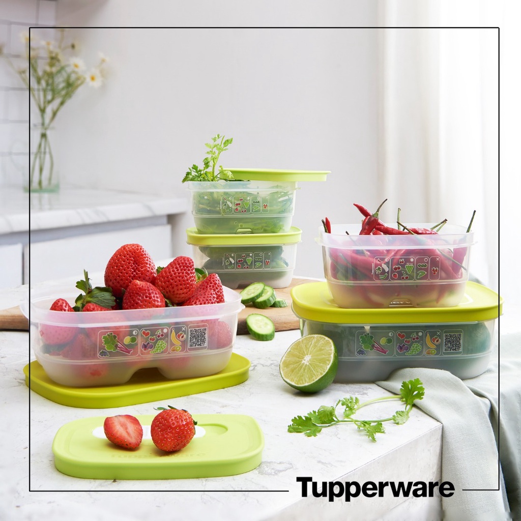 Bộ hộp Trữ mát có nút hô hấp Tupperware Ventsmart Five Star