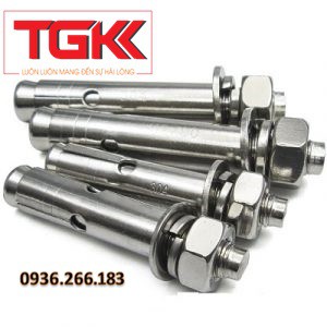 Bulong nở inox 304 M12