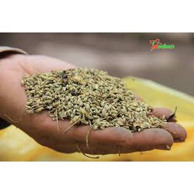 Trà hoa hòe loại 1 - 100g