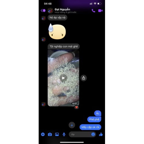 Flare - Dung dịch dưỡng và ép cá Betta