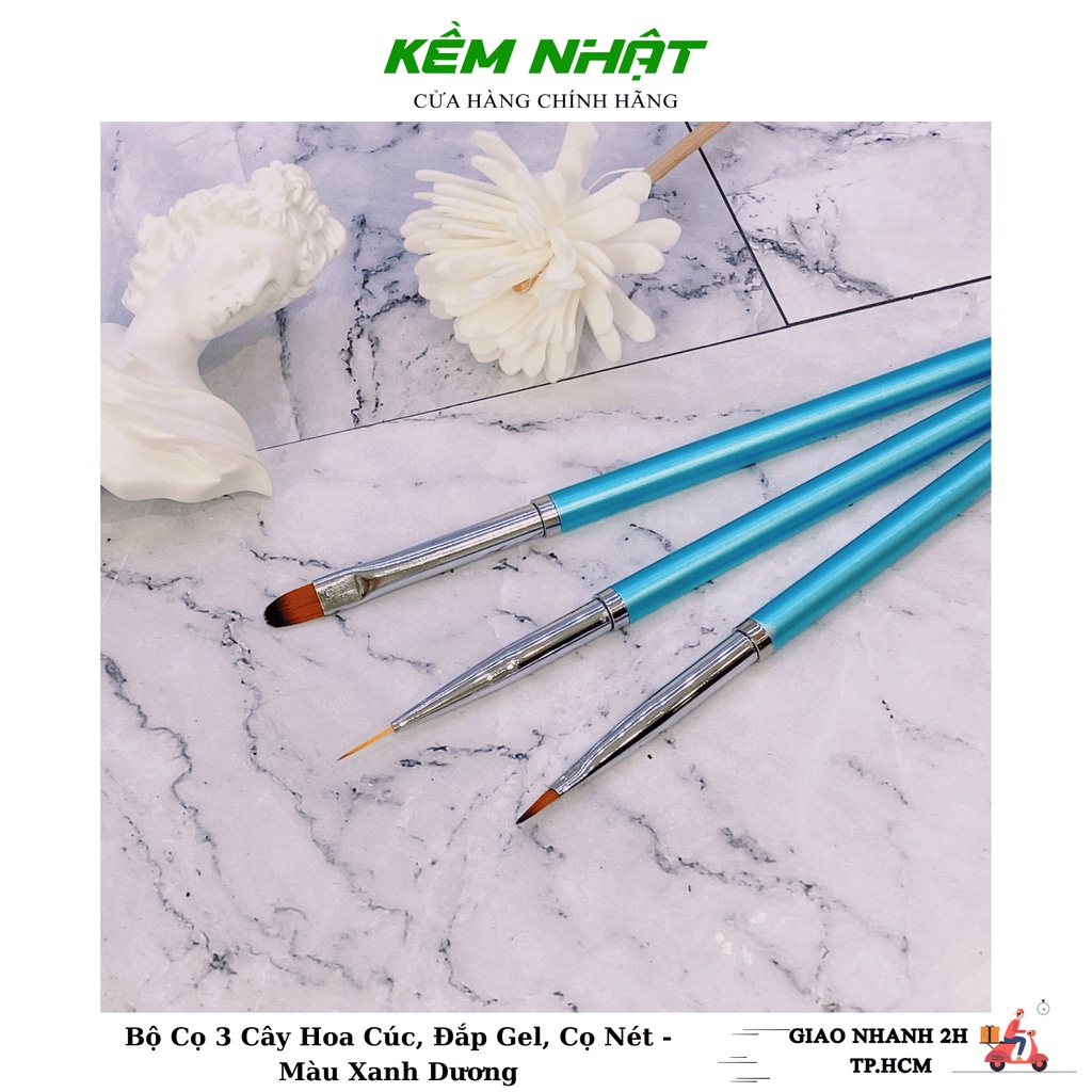 Bộ Cọ 3 Cây Hoa Cúc, Đắp Gel, Cọ Nét DINGXI Xanh Dương - Dụng cụ làm nail