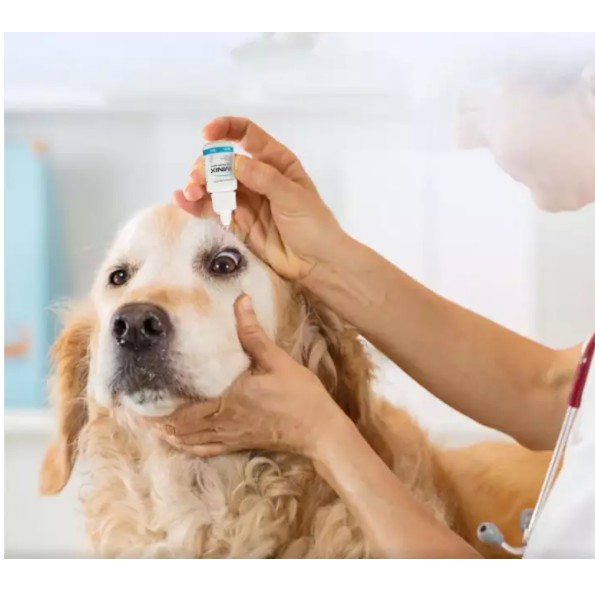 Alkin Omnix- Thuốc nhỏ mắt chống viêm và làm sạch vi khuẩn cho chó mèo/ thú cưng, vệ sinh mắt chó mèo PCHELODAR