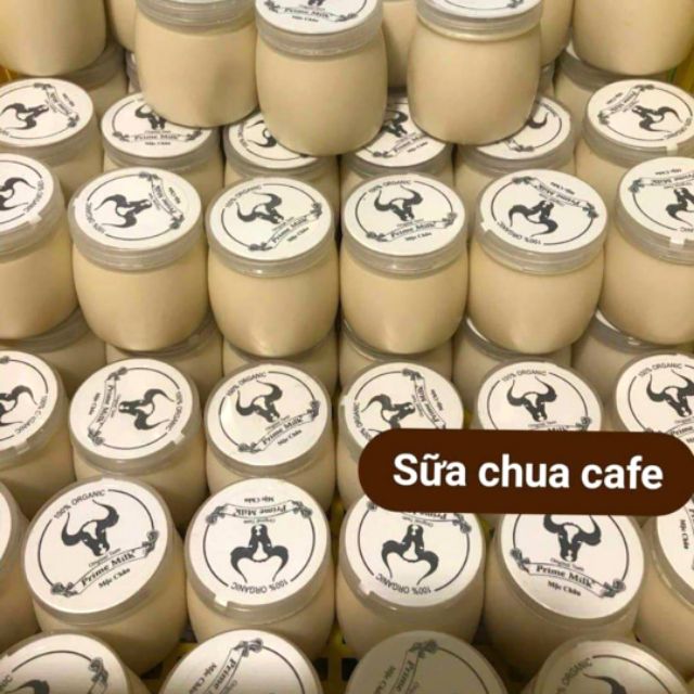 SỮA CHUA CAFFE 195ML/HỦ