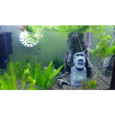 Mô Hình Tượng Đá Phong Cách Phục Sinh Cổ Điển Dùng Trang Trí Bể Cá