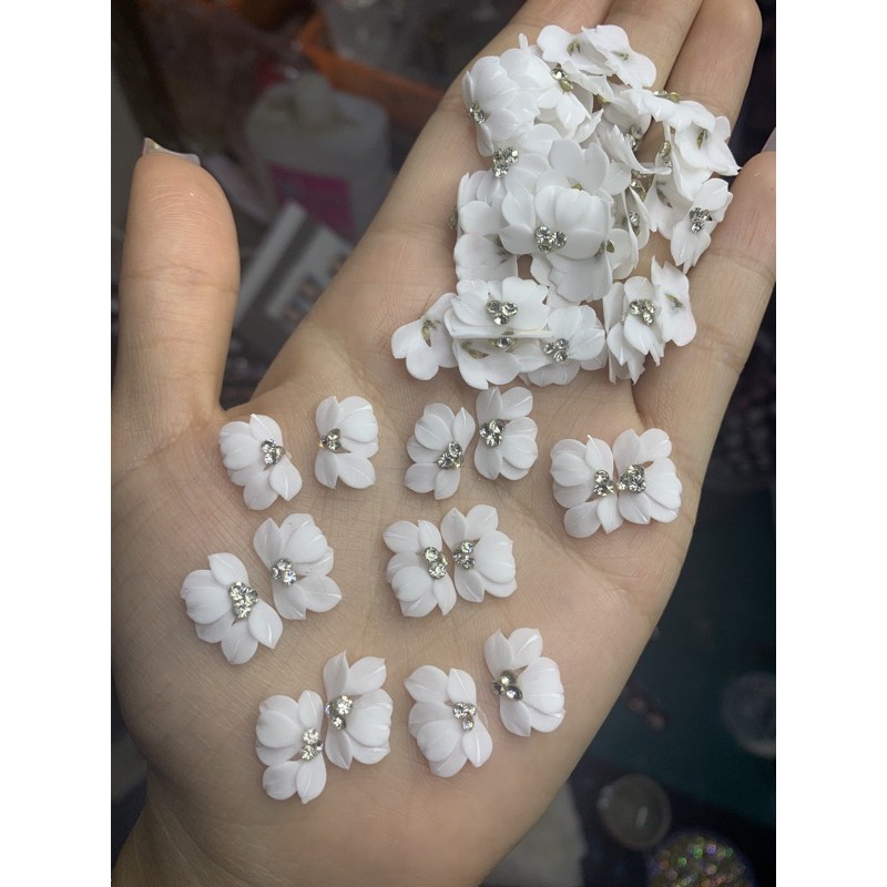Hoa bột nail - Hoa cúc ruby