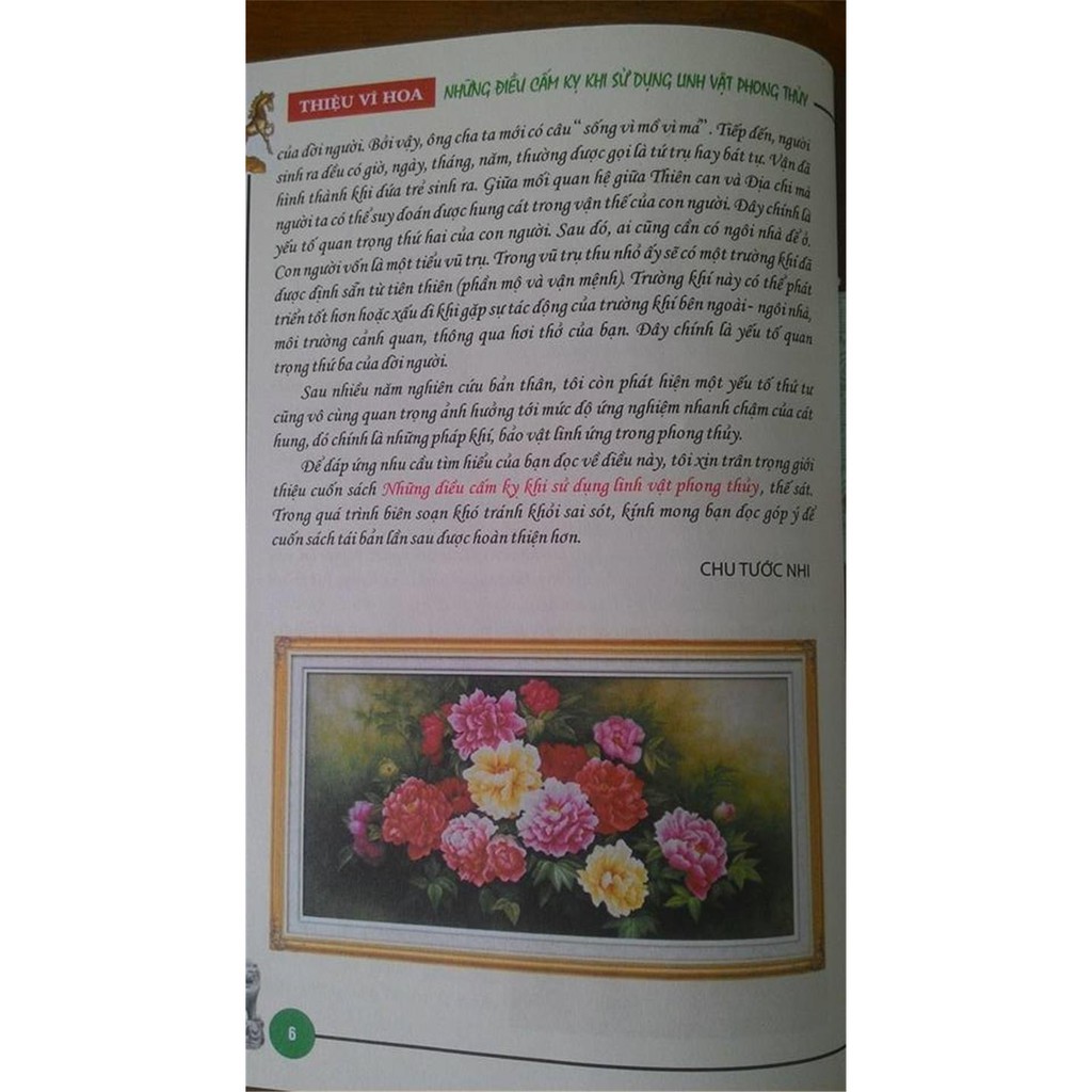 Sách - Nhũng Điều Cấm Kỵ Khi Sử Dụng Linh Vật Phong Thủy Gigabook | BigBuy360 - bigbuy360.vn