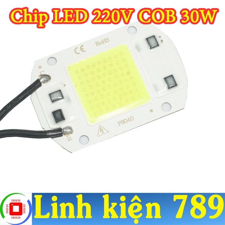 Chip LED COB 220V Chip LED 6040 30W