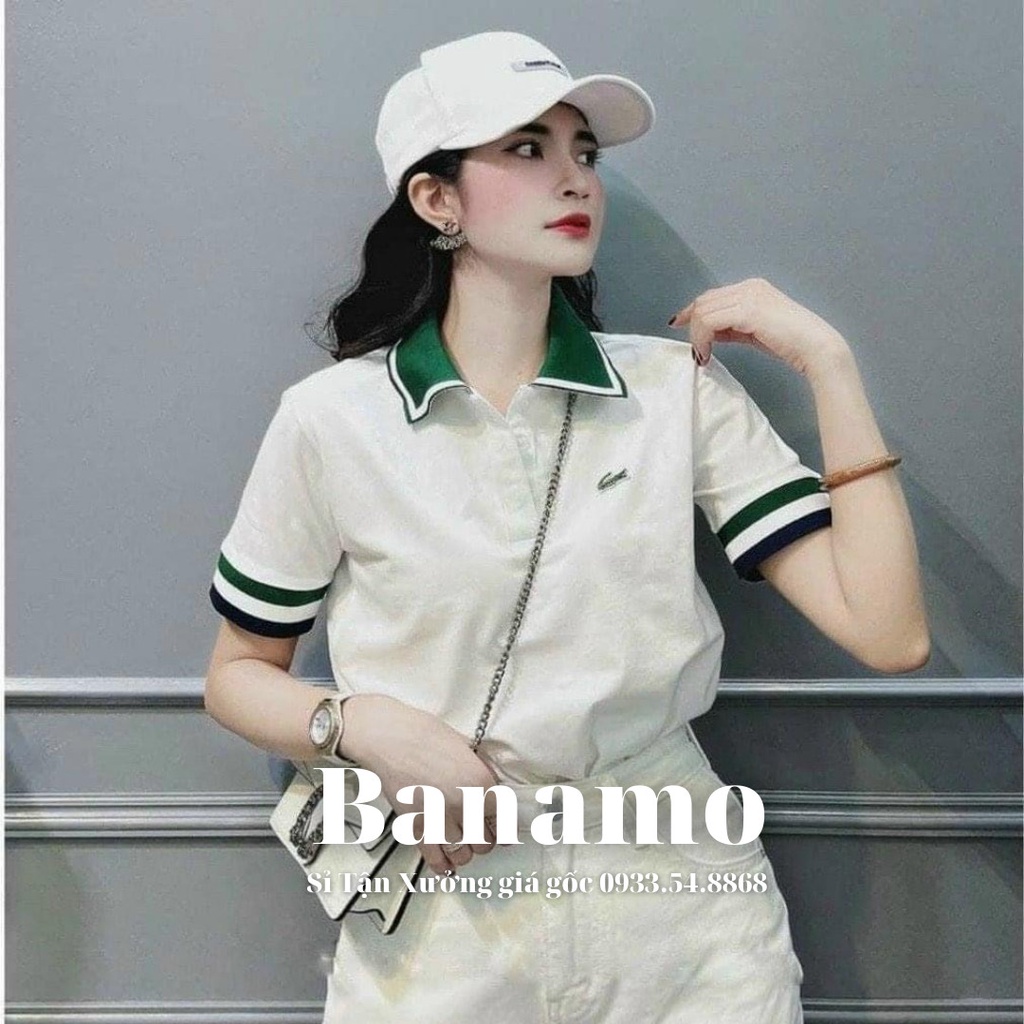 Áo polo nữ cổ xanh thêu logo cá sấu cao cấp thời trang Banamo Fashion polo thêu cá sấu cổ xanh 3926