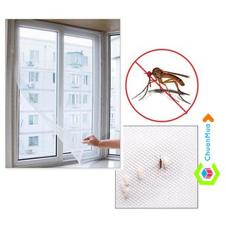 Bộ Lưới Chống Muỗi Và Côn Trùng Cho Cửa Sổ