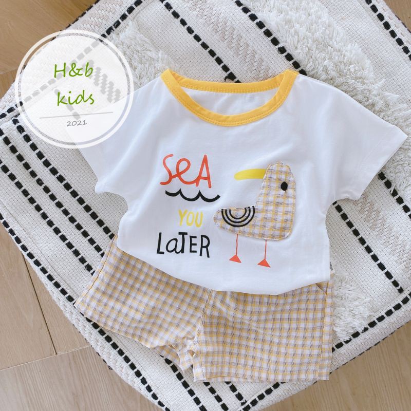 sét áo cotton tàu phối quần kẻ xịn đẹp bán shop