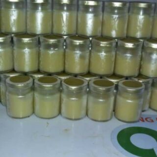 Sữa ong chúa tươi (lọ 100gr)