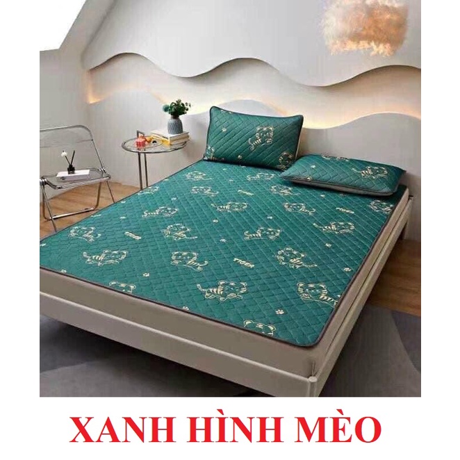 Chiếu Điều Hoà TENCEL LATEX Cao Su Non In Hình 3D Siêu Mát + Tặng Kèm 2 Vỏ Gối