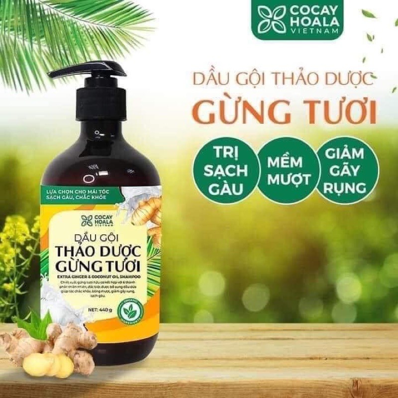 cặp gội xả thảo dược gừng dừa hữu cơ Cỏ cây hoa lá Việt Nam