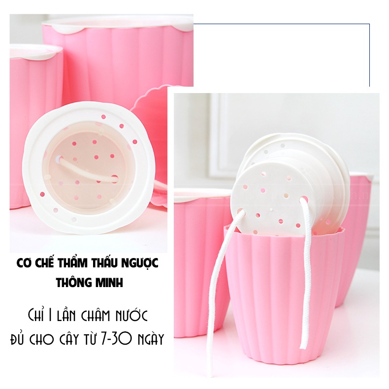 Chậu nhựa trồng cây thông minh tự tưới/thủy sinh/cây để bàn văn phòng/rộng 13 cao 14cm