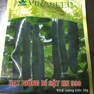 20 HẠT GIỐNG BÍ SẶT HÀ NỘI 999 - VINASEEDS