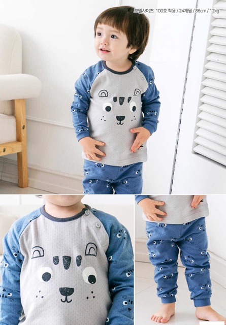 Cordi-i Bộ Thu Đông Gấu Xanh Ảnh thật