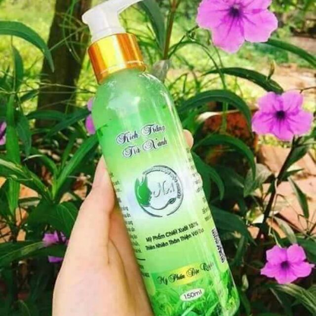 Kích trắng trà xanh