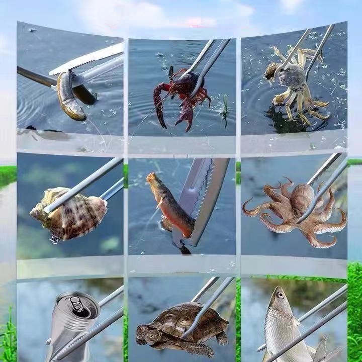 Kẹp Bắt Cá / Cua / Thức Ăn Đa Năng Bằng Thép Không Gỉ