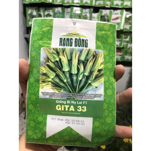 Bí nụ GITA 33 Lai F1 thương hiệu rạng đông,hạt giống mới ,tỉ lệ nảy mầm cao.
