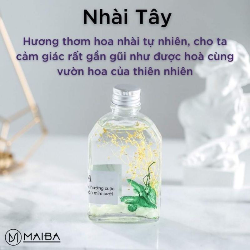 Tinh dầu thơm phòng que gỗ WACHNN khuếch tán hương