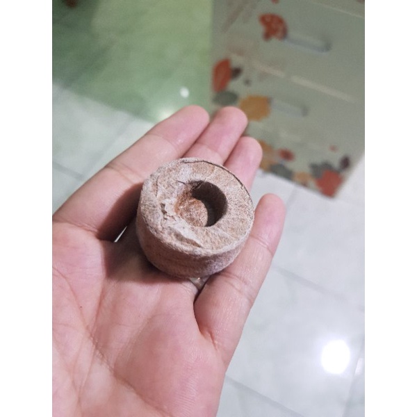 100 viên nén xơ dừa|| Viên nén ươm hạt xơ dừa