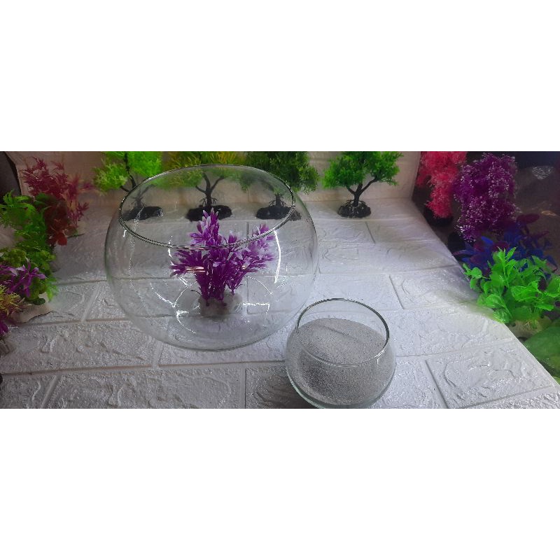 Chậu Thủy Tinh Nuôi Ốc Mượn Hồn Tặng Cát+Cây Ngẫu Nhiên