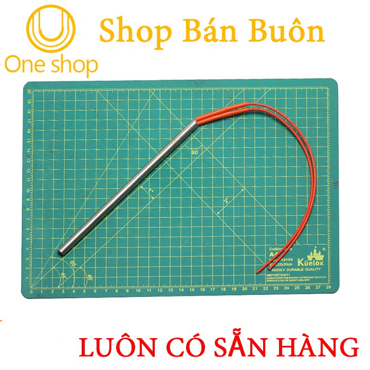 Thanh Trở Nhiệt 220V 300W 8x100mm