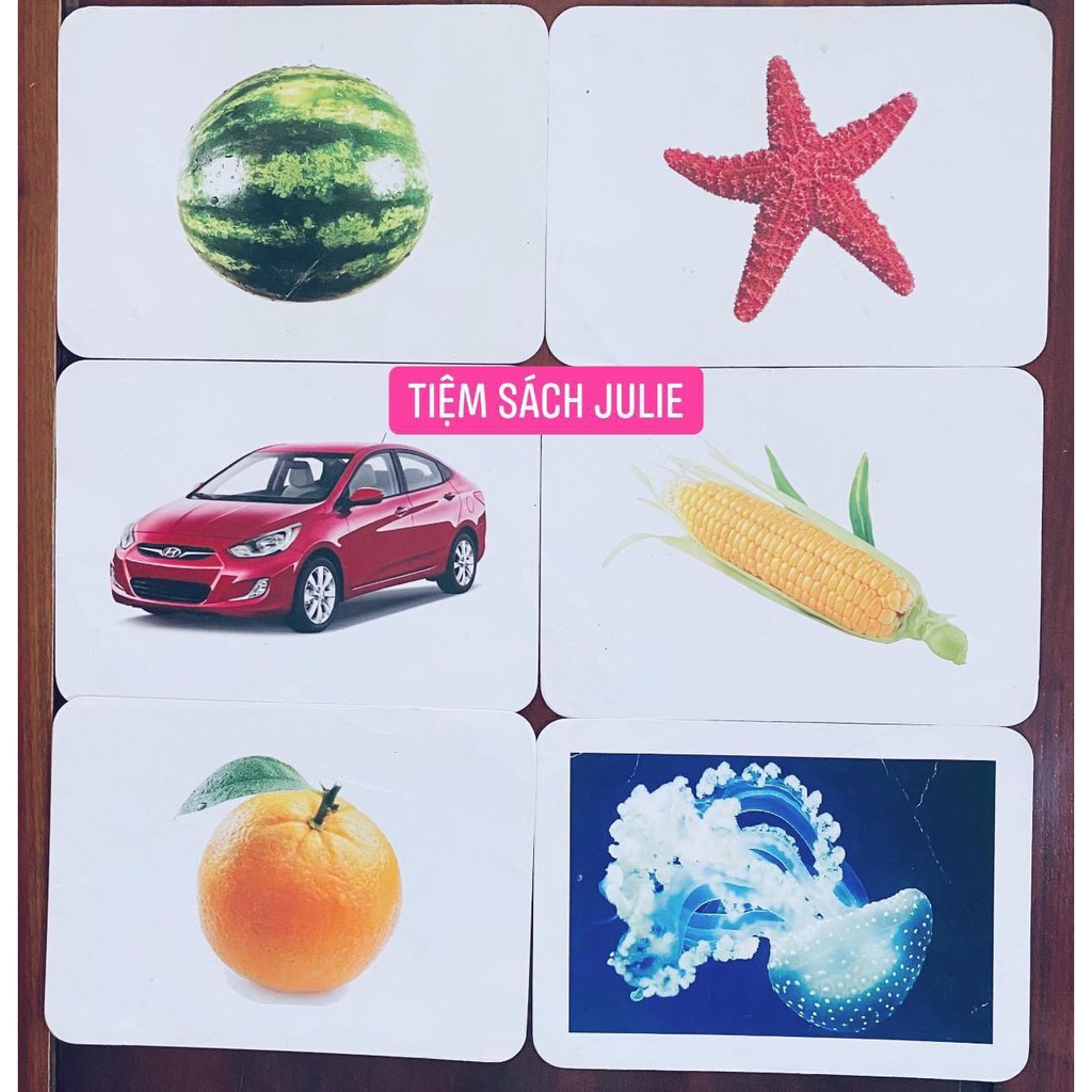 FLASHCARD- THẺ HỌC THÔNG MINH BỘ THẾ GIỚI XUNG QUANH CƠ BẢN CHUẨN GLENN DOMAN CÓ GIÁO ÁN