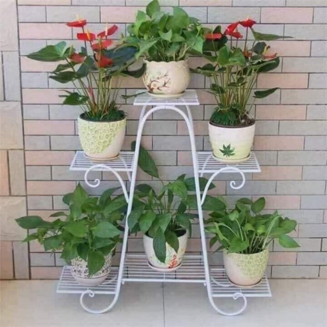 Kệ cây cảnh 6 tầng
