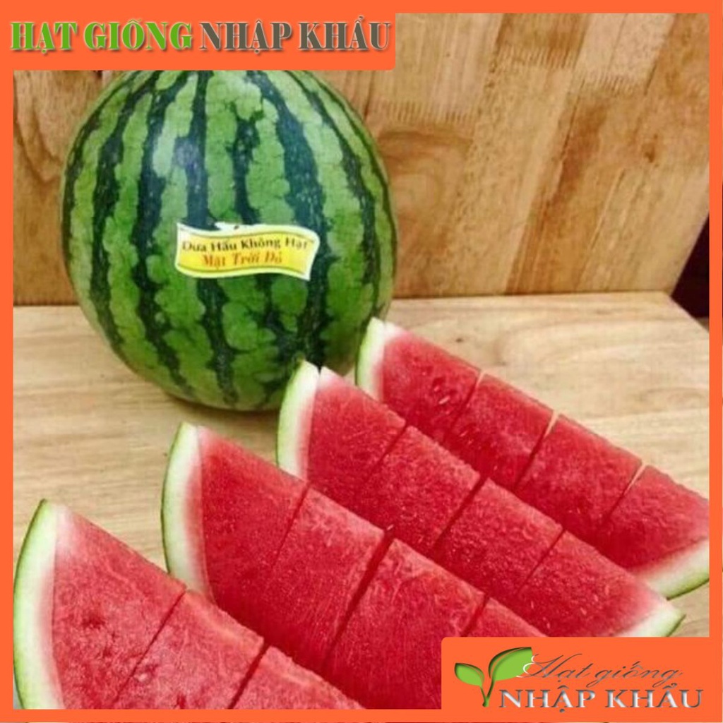 Hạt giống dưa hấu mặt trời không hạt Chia Tai Thái Lan. 15 hạt/gói