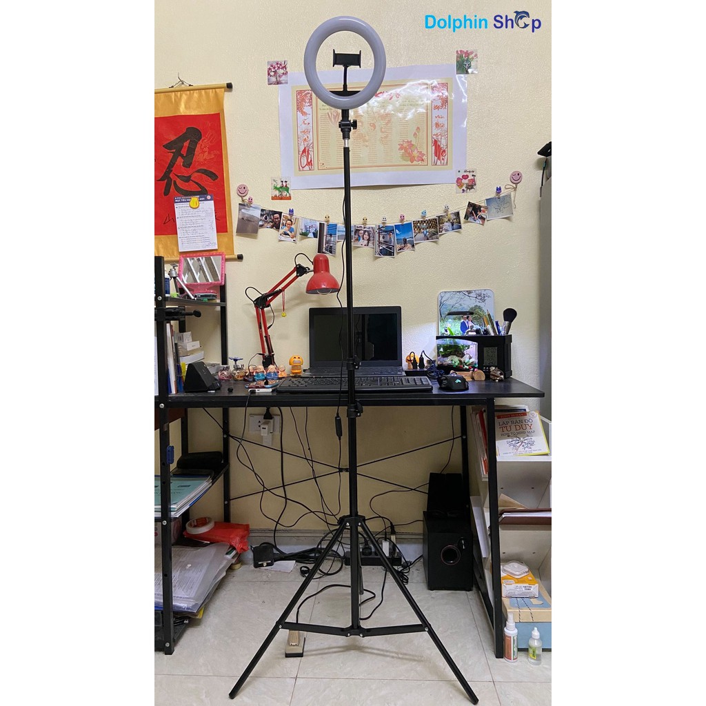 [Có Clip Size 20cm] Đèn Livestream Size 20cm Dành Cho Bán Hàng Online, Quần Áo, Makeup - Cây  live stream size 20 | BigBuy360 - bigbuy360.vn