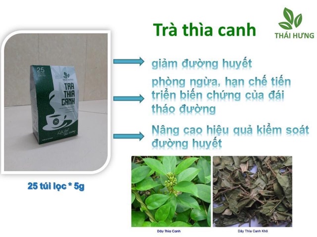 Trà thìa canh khắc tinh tiểu đường Thái Hưng, trà thảo dược thiên nhiên | BigBuy360 - bigbuy360.vn