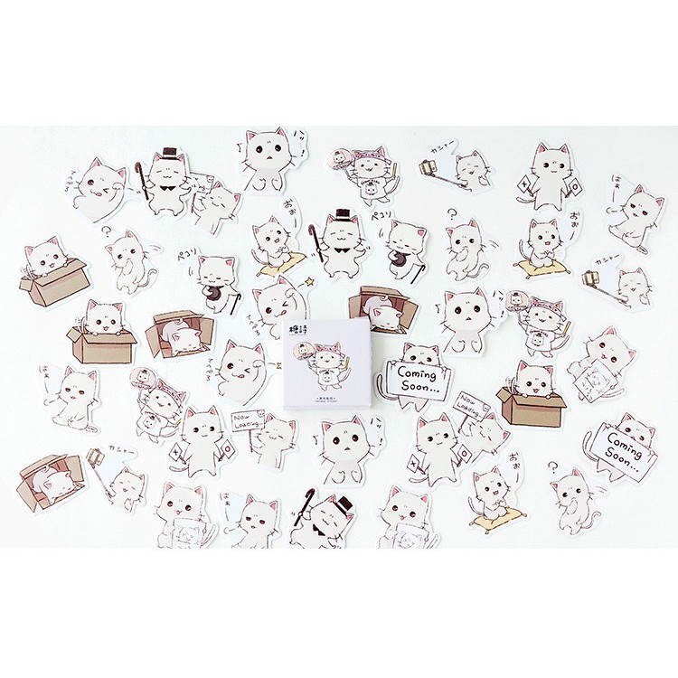 Set hộp sticker Mèo trắng cute