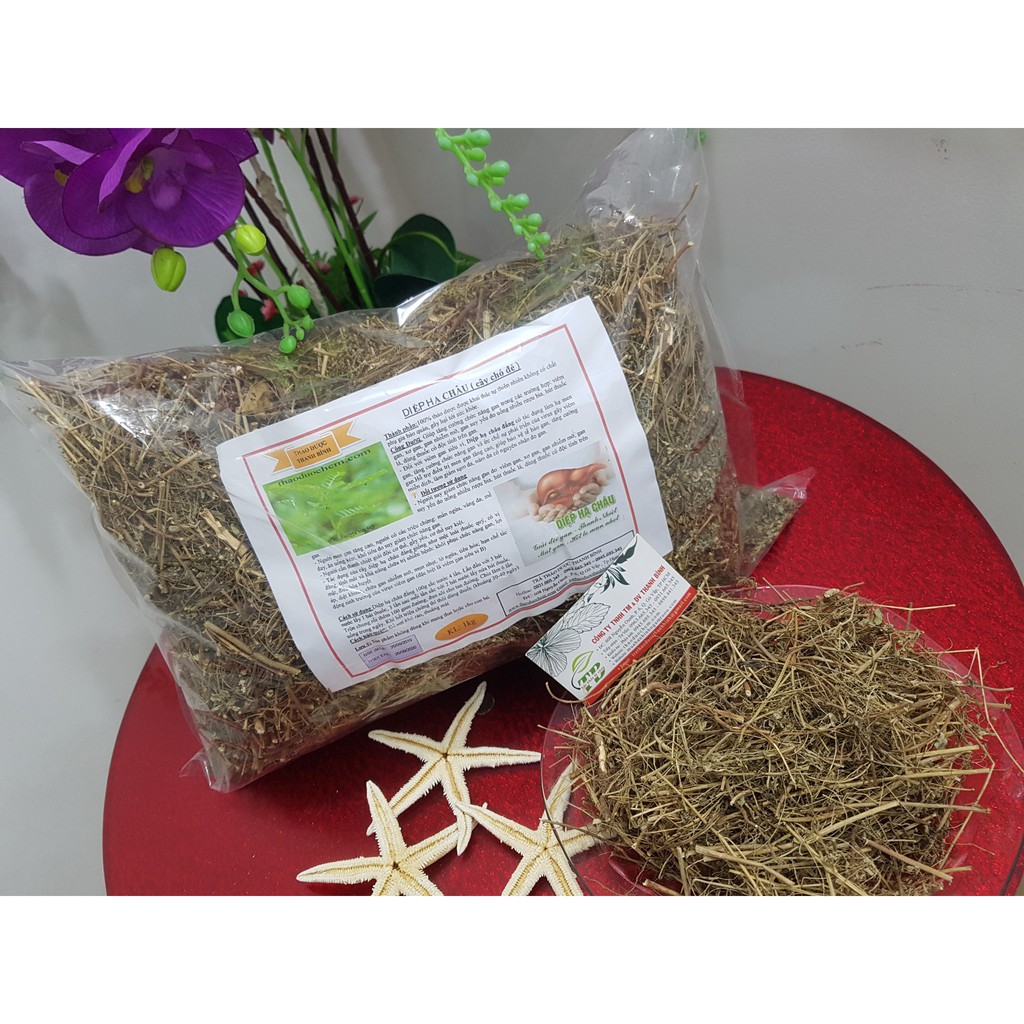 Cây Diệp Hạ Châu Khô - 1kg