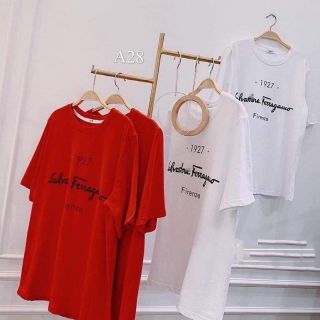 Áo thun cotton giấu quần