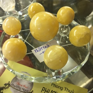 Bộ thất tinh 10f