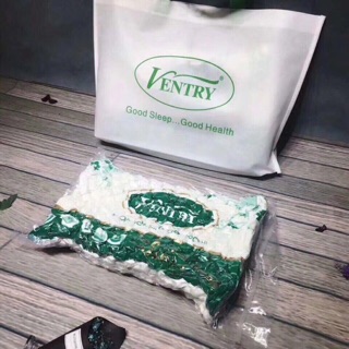 Gối cao su non Ventry Thái Lan