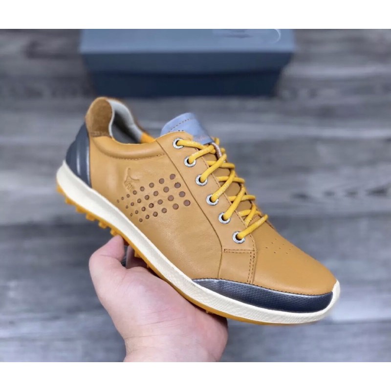 Giày golf nam - giầy golf ecco nhập khẩu