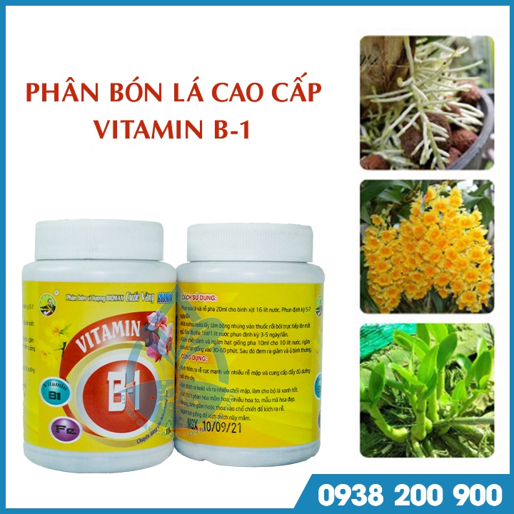 Phân Bón Lá Vitamin B1 Cuốc Vàng 100ml - Kích rễ cực mạnh - Kích ra hoa -  Chuyên dùng cho hoa phong lan, cây kiểng