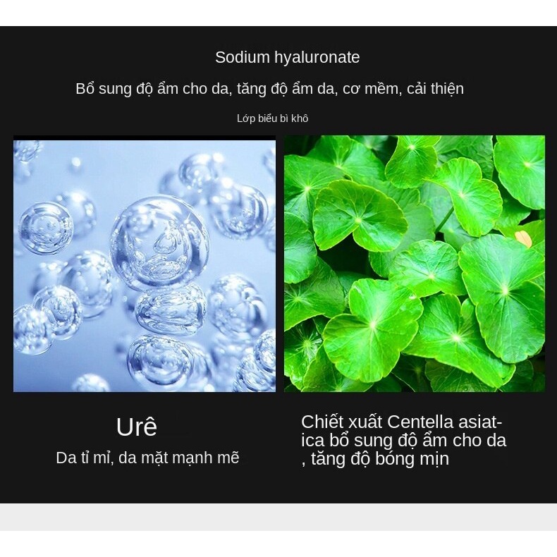 (Hàng Mới Về) Mặt Nạ Images Tinh Chất Hyaluronic Acid Dưỡng Ẩm Trẻ Hóa Làn Da | BigBuy360 - bigbuy360.vn