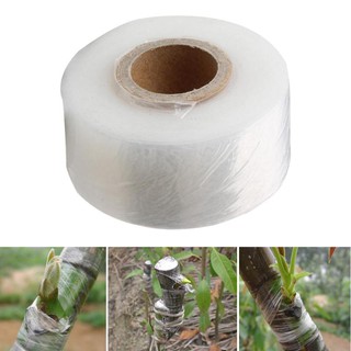 Băng keo ghép cây 5cuộn